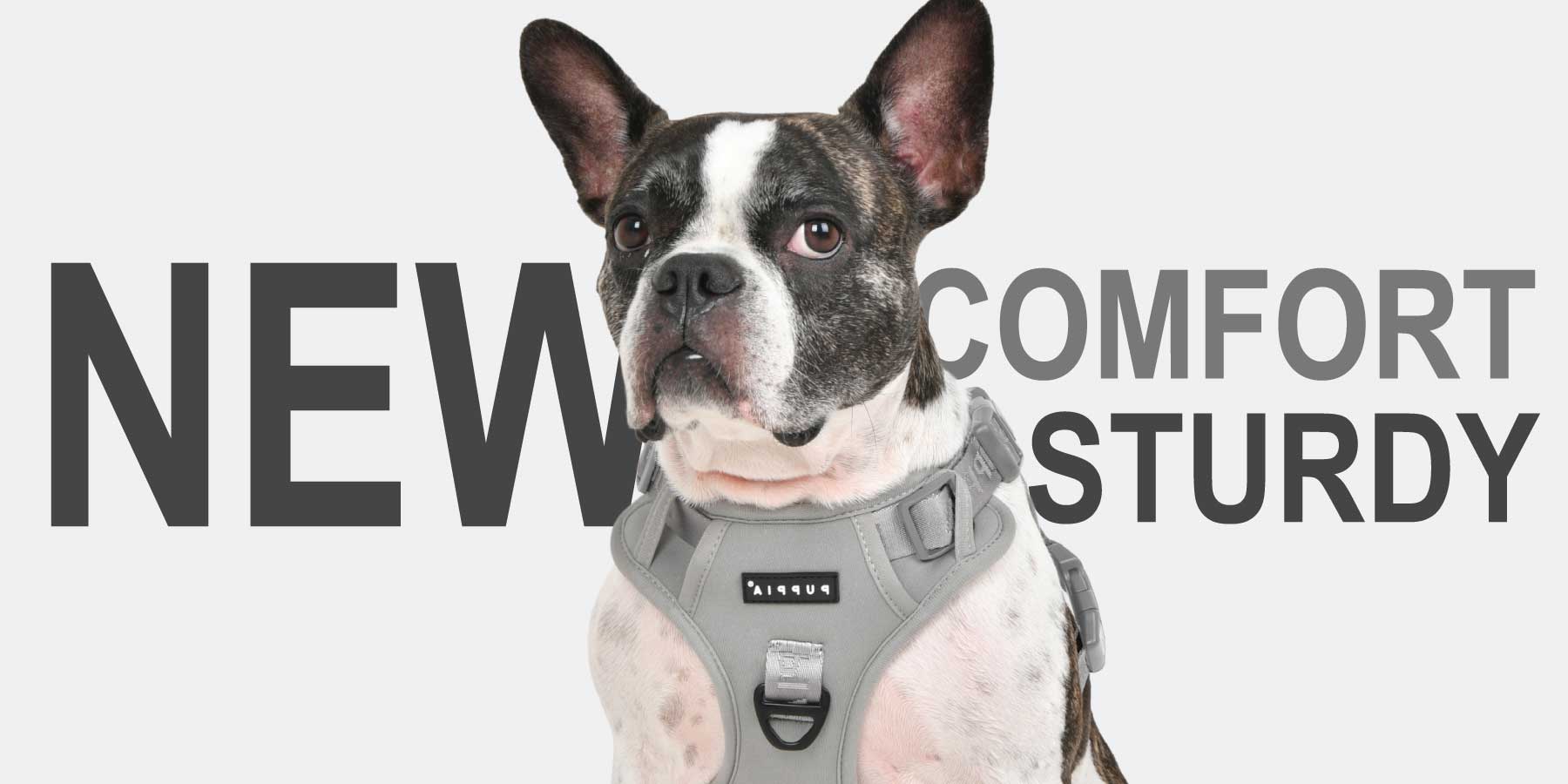Hybrid Harness