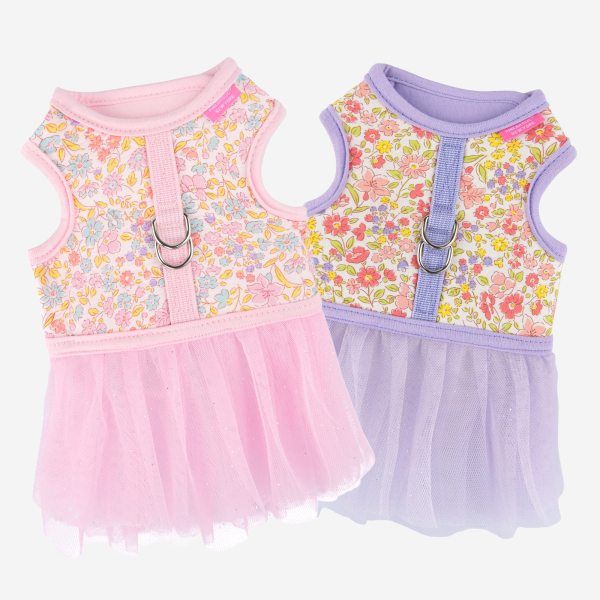 IONE DRESS HARNESS