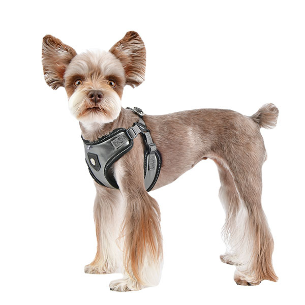 LEGACY HARNESS C