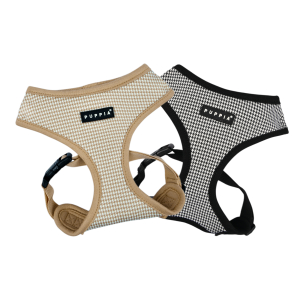 AMATUS HARNESS A