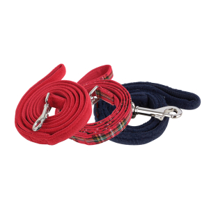 SANTA LEAD